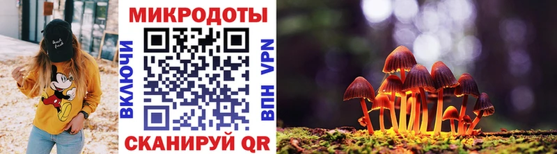 Псилоцибиновые грибы Magic Shrooms  закладка  Истра 